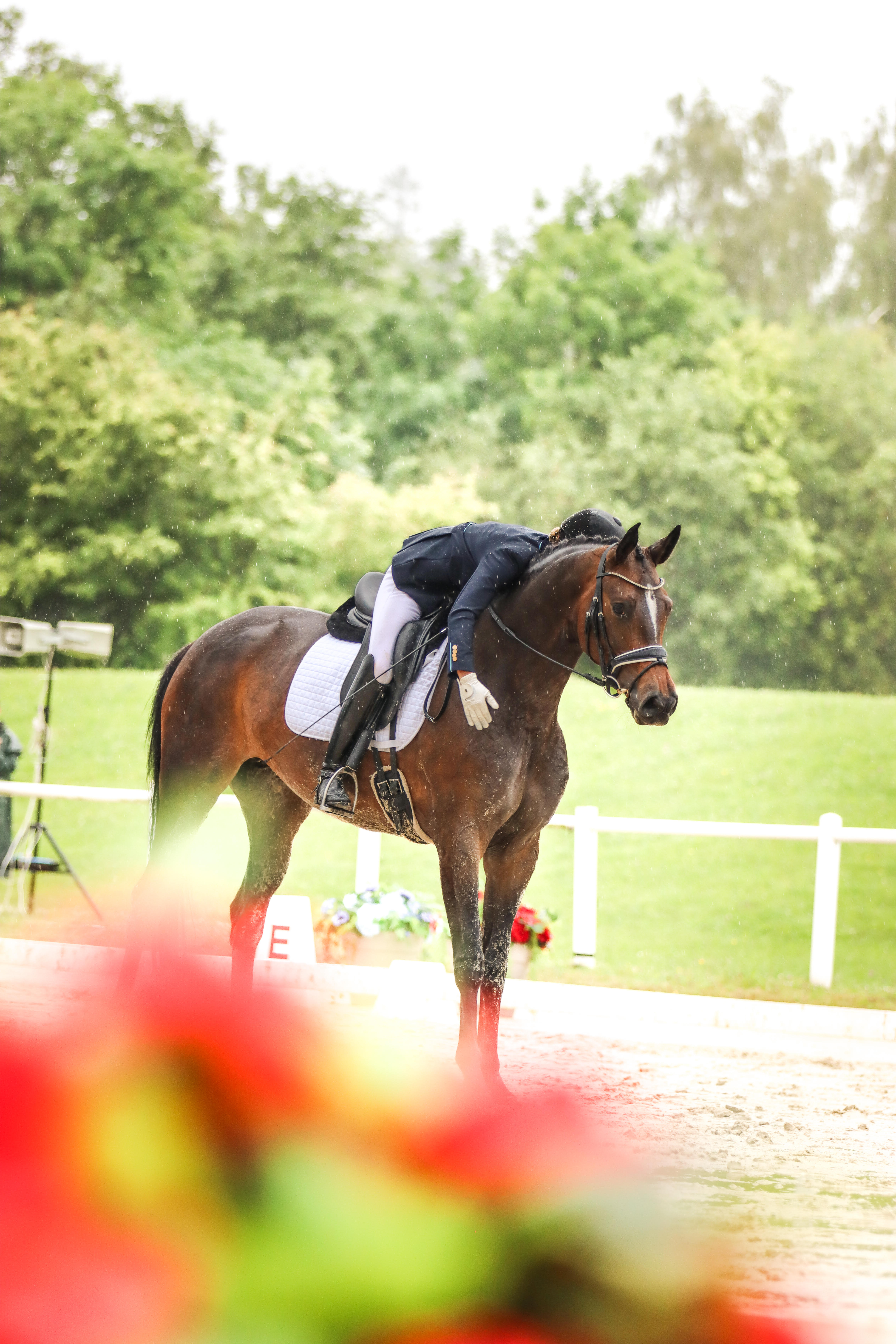 Portrait de Pénélope de Padugraphie