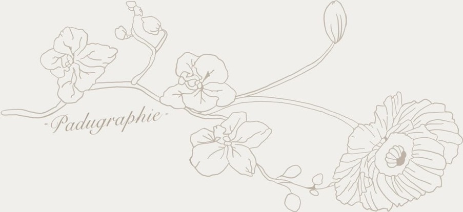 Logo Padugraphie